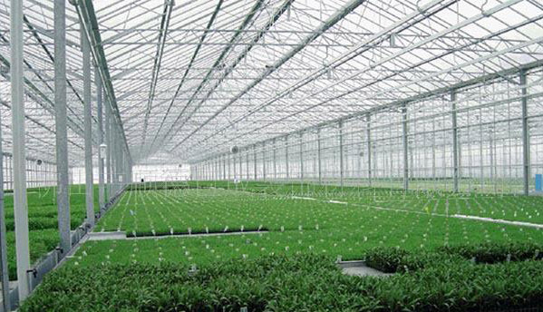 漯河意達透明瓦廠 透明瓦 采光瓦 塑料大棚瓦(圖18) undefined